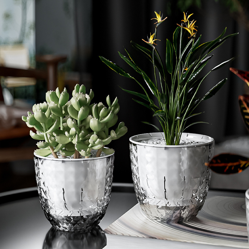 Transparent Plastic Lazy Plant - Aloe Vera Pot review and price