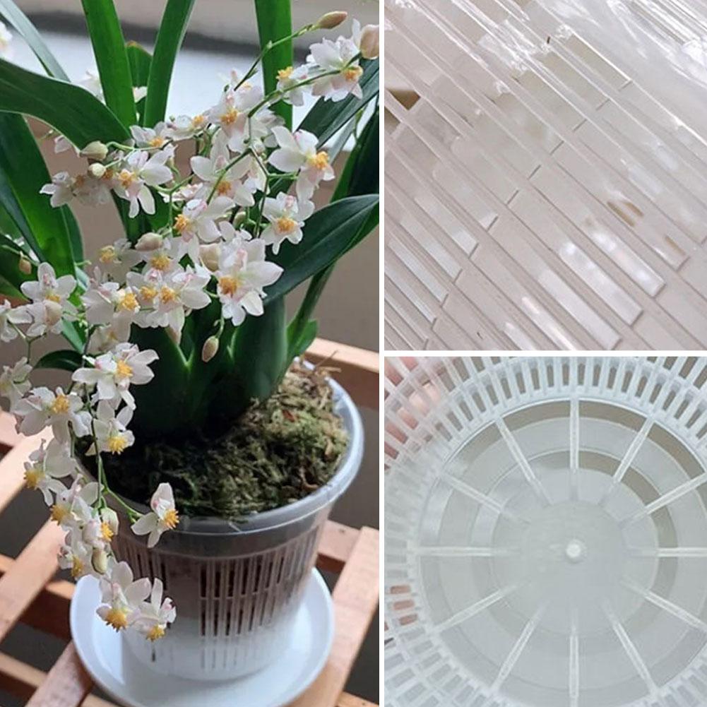 Mesh Pot Root Control Transpar - Aloe Vera Pot review and price
