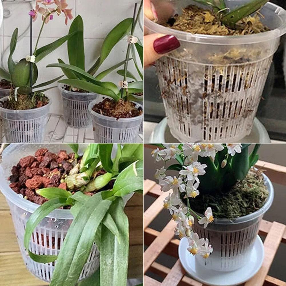 Mesh Pot Root Control Transpar - Aloe Vera Pot review and price