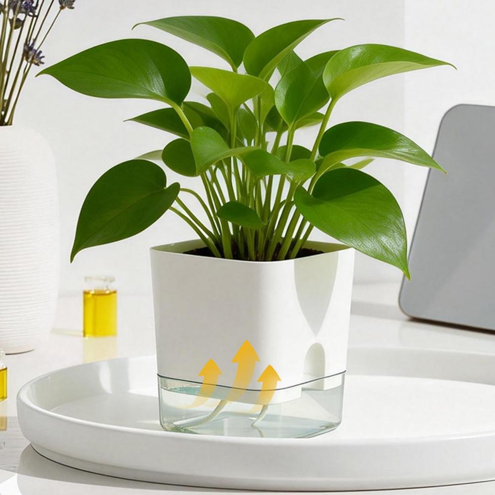 Automatic Watering Flower Pots - Aloe Vera Pot review and price