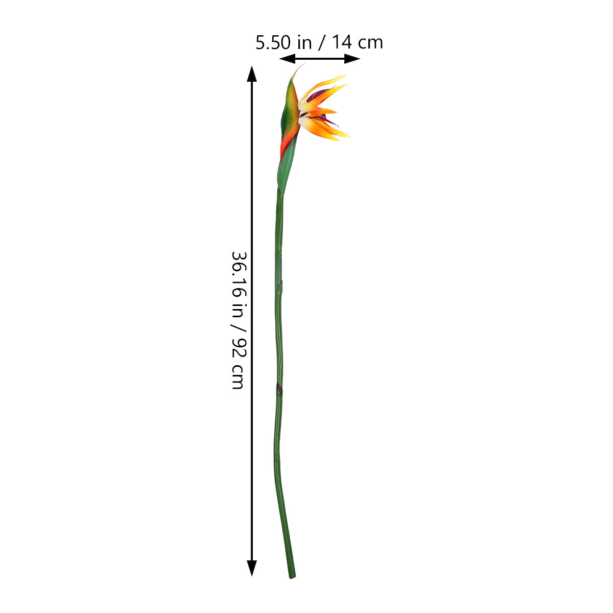 Faux Bird of Paradise Artifici - Bird Paradise Strelitzia review and price
