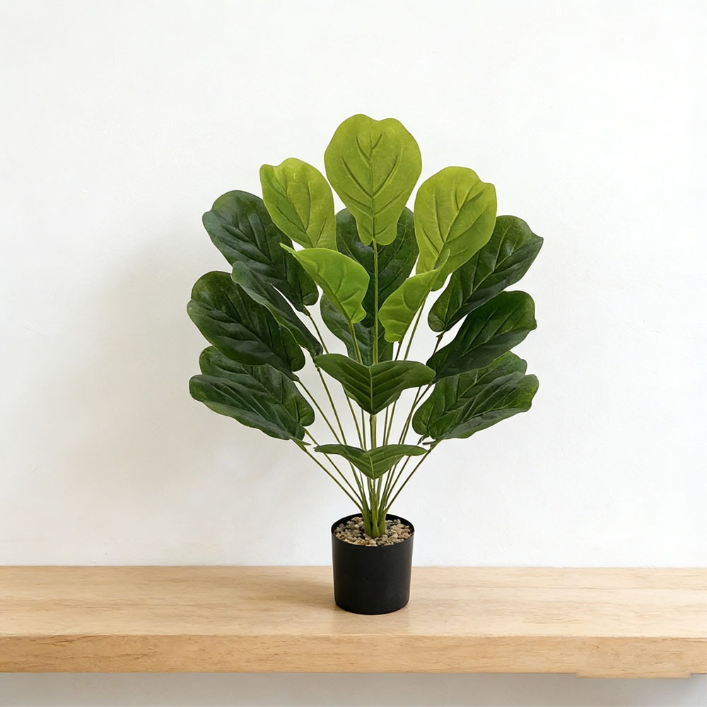 1pc of 75cm Artificial Ficus L - Ficus Lyrata Tree review and price