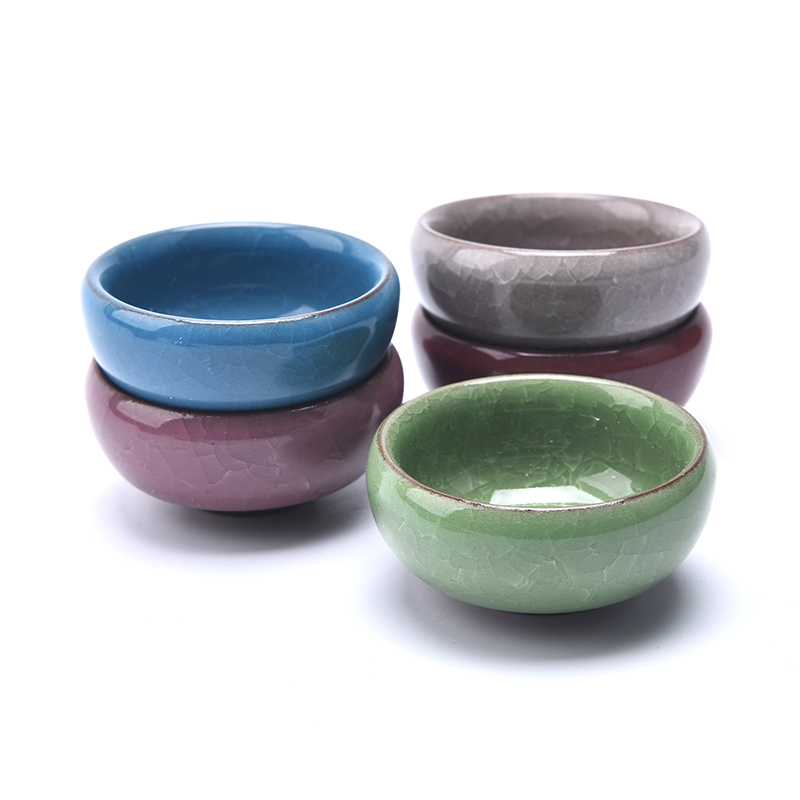 Cute Ice-Crack Glaze Flower Ce - Aloe Vera Pot review and price