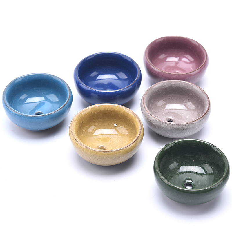 Cute Ice-Crack Glaze Flower Ce - Aloe Vera Pot review and price