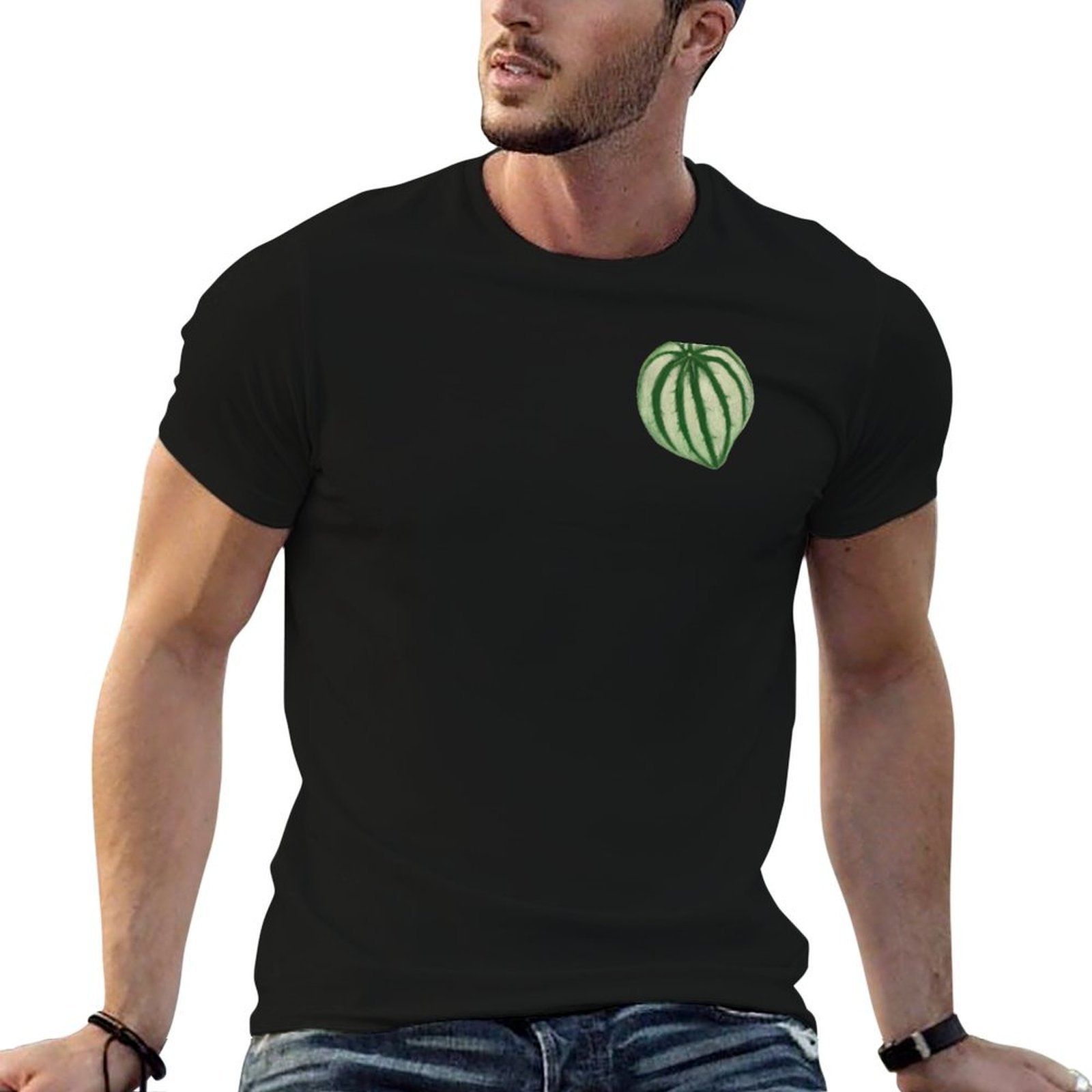 Watermelon Peperomia T-Shirt a - Peperomia Watermelon review and price